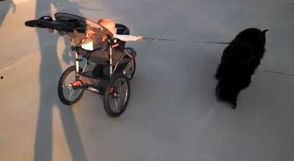 国产推车无码小视频,探寻国货新风尚