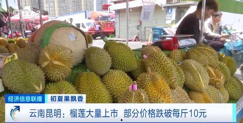 国产榴莲上市新闻视频,开启国内热带水果新篇章