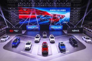 国产最炫汽车灯展示视频,炫彩光影，点亮夜行风采