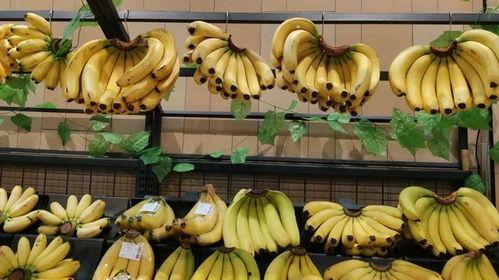 国产大香蕉不视频