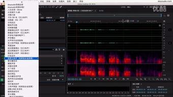 国产精美au无码视频,视觉盛宴中的艺术探索