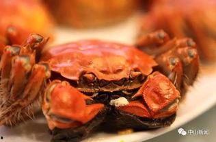 国产小螃蟹是假货吗视频,辨别假货攻略