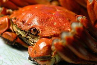 国产小螃蟹是假货吗视频,辨别假货攻略