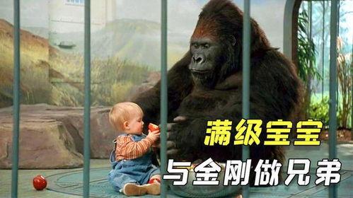 国产搞笑片大猩猩视频,国产喜剧的欢乐盛宴