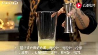 国产酒调酒大全视频,解锁传统佳酿新风味  第3张