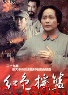 国产剧情系列视频在线看,沉浸式体验本土情感故事  第2张