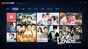 国产菊花调教视频网站