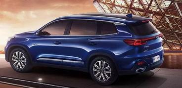 中山国产车视频大全