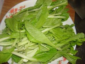 国产小白菜视频