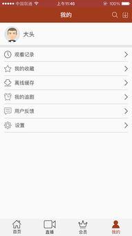 国产空姐视频app,展现空中魅力，引领时尚潮流