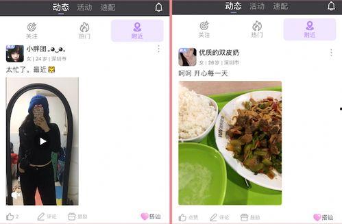 国产鱼粮测评视频下载,品质与口感的双重体验解析